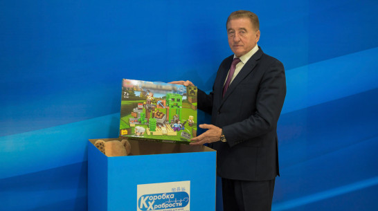 В Воронеже завершается благотворительная акция «Коробка храбрости» партии «Единая Россия»