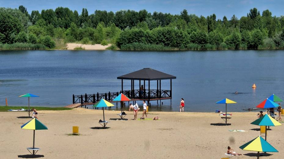 Жаркая погода без осадков ожидается в Воронеже в последние выходные июня