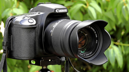 Воронежского фотографа обвинили в мошенничестве при получении социальных выплат