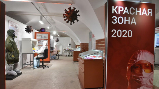 Воронежские врачи помогли еще 289 больным ковидом