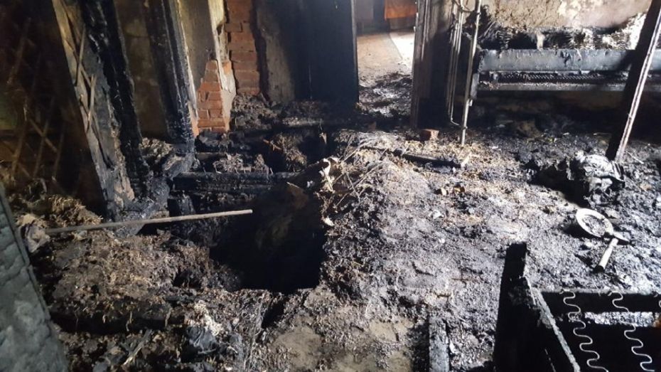Хозяйка дома и ее гость насмерть угорели в Воронежской области