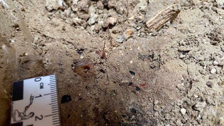 Под Воронежем археологи нашли редкую подвеску из белемнита