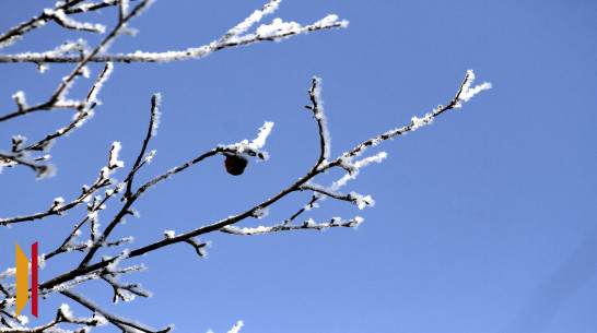 Следующая рабочая неделя в Воронеже начнется с мороза -9 градусов