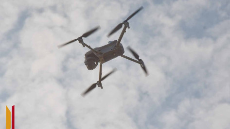 Над Воронежской областью в ночь на 28 марта сбили 2 БПЛА