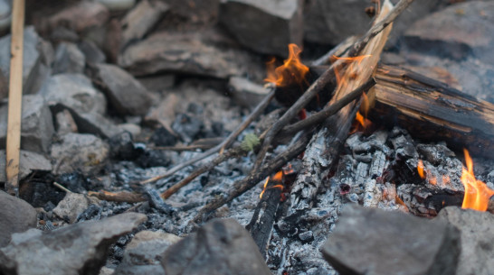 С начала года за разведение костров воронежцев оштрафовали почти на 1,5 млн рублей