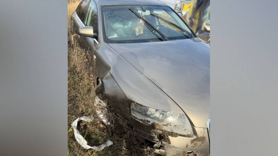 Под Воронежем Audi A6 вылетел в кювет и разбился: водитель погиб