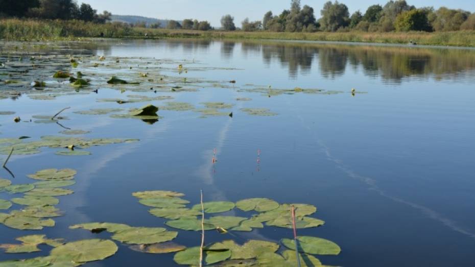 В озере Круглое под Воронежем утонул 36-летний мужчина