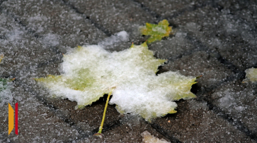 Стало известно, придет ли в Воронеж снежный циклон из Москвы