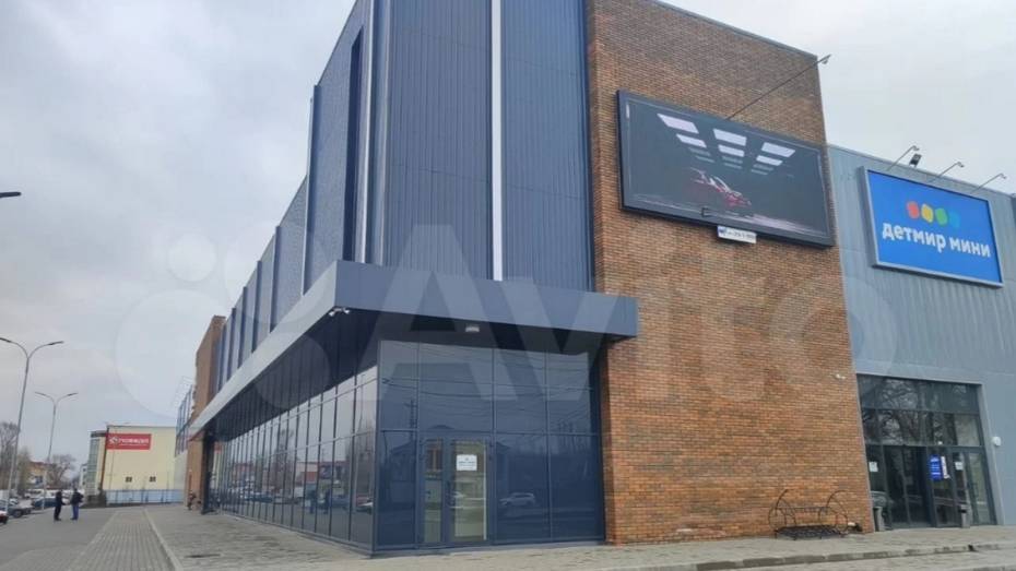 В Воронежской области за 420 млн рублей выставили на продажу торговый центр