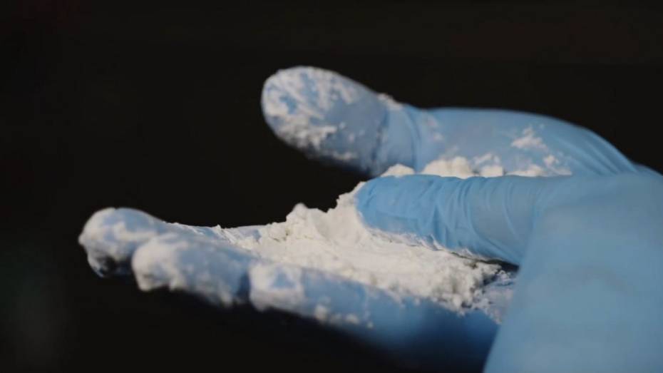 Воронежские ученые запатентовали новую технологию получения белка для специального питания