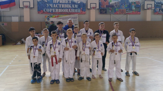 Верхнехавские каратисты получили 6 золотых медалей на областных соревнованиях