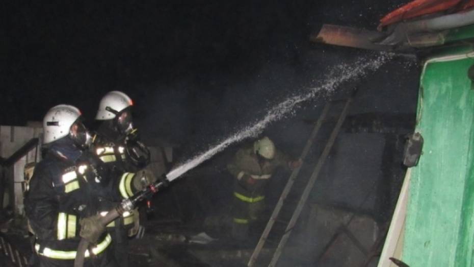 В Воронежской области при пожаре погибли хозяин дома и 56-летняя женщина