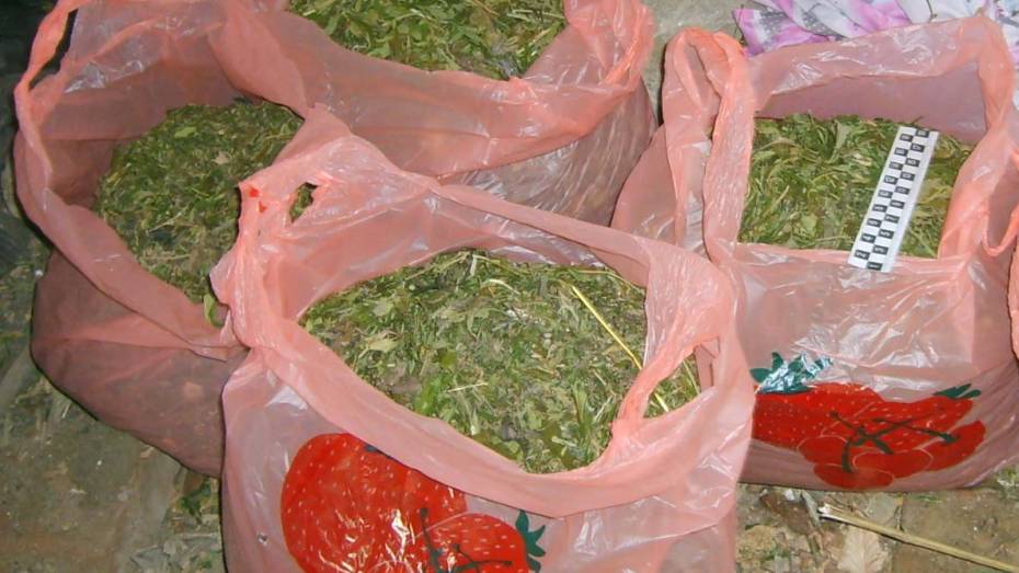 Житель Воронежской области спрятал 3 кг марихуаны на чердаке сарая