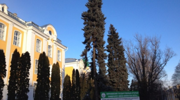 Воронежский аграрный университет продлил карантин по гриппу до 13 февраля