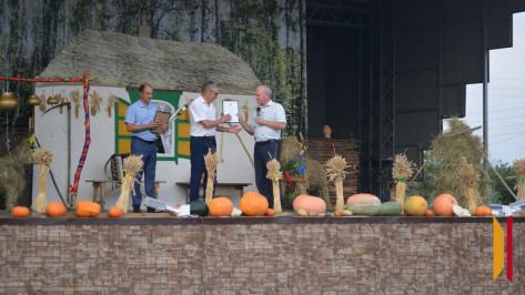 Воробьевцы отметят День села