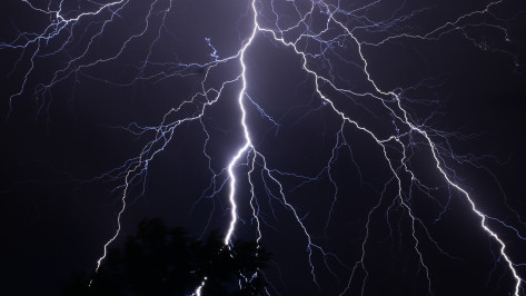 В Воронежской области 12-летний мальчик погиб от удара молнии во время рыбалки