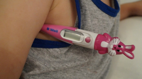 В Воронежской области впервые с февраля выросла заболеваемость гриппом 