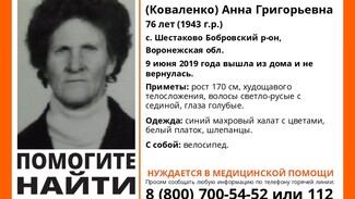 В Воронежской области волонтеры начали поиски пропавшей 3 дня назад 76-летней женщины