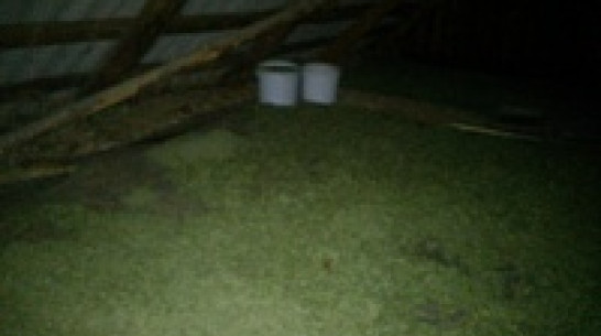 Житель Воронежской области спрятал на чердаке 20 кг марихуаны