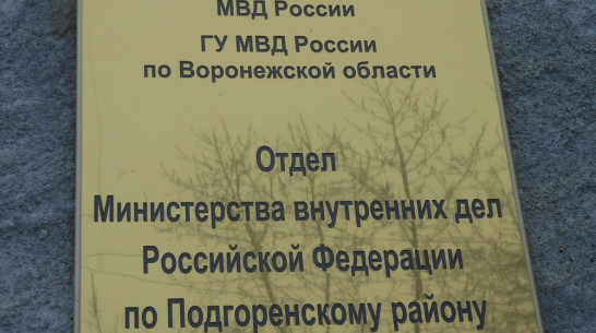 Подгоренские подростки украли у односельчан товаров на 50 тыс рублей