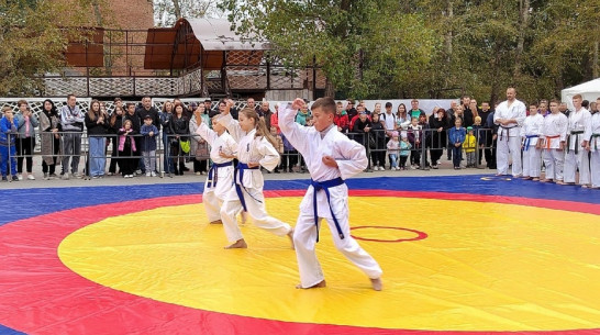 Фестиваль боевых искусств проведут в Лисках