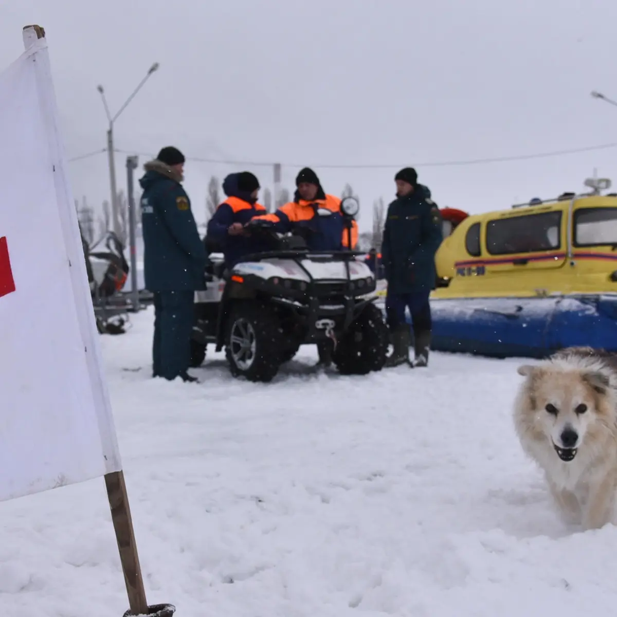 Инструкция РИА «Воронеж»: как спасти человека на льду водоема