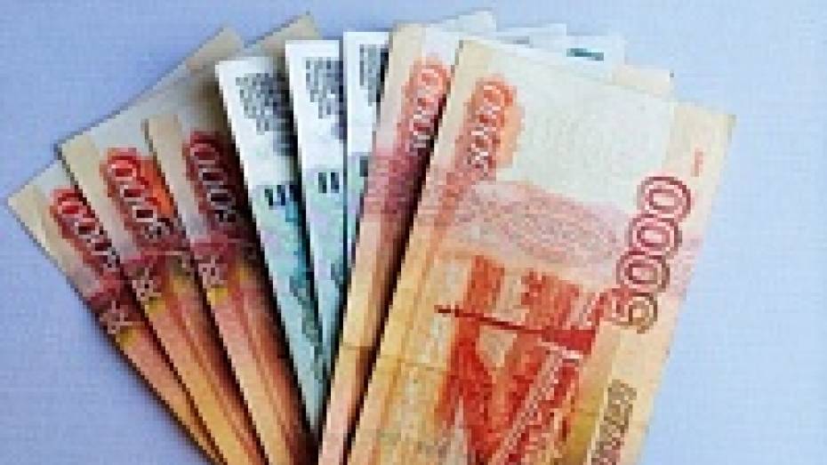 Среднедушевой доход жителей Воронежской области составил более 22,3 тыс рублей