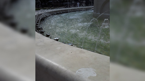 Воронежцы показали фото поврежденного фонтана в парке «Орленок»