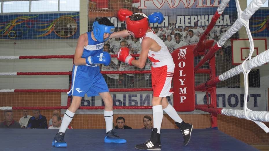 Борисоглебские боксеры завоевали 8 золотых медалей в межрегиональном турнире