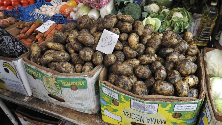 Воронежцев предупредили об овощах с нитратами от фантомного производителя
