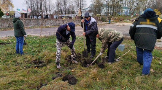 В шести поселениях Павловского района провели работы по озеленению территорий
