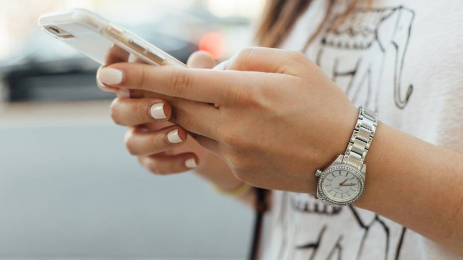 Мобильный интернет могут ограничить на фестивале «Город-сад» в Воронеже