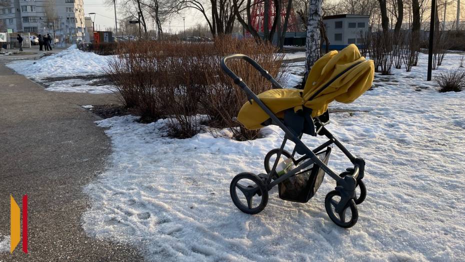 Воронежцам подробно рассказали про получение ежемесячных выплат из маткапитала