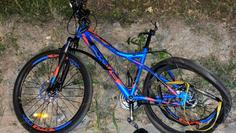 В Воронежской области под колесами автомобиля погиб 14-летний мальчик на велосипеде
