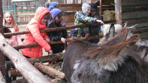 Воронежский зоопарк предложил посетителям поделиться овощами с животными 