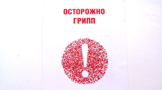 В верхнемамонских медучреждениях объявили карантин по гриппу
