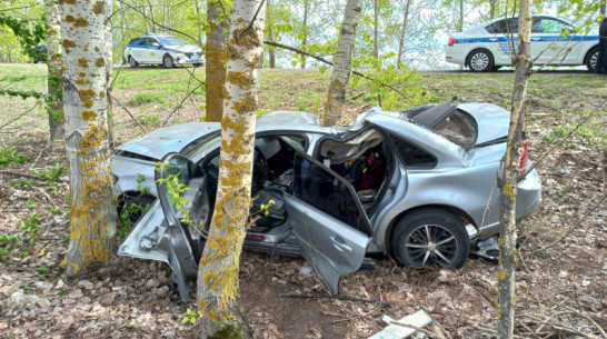 В Воронежской области пенсионерка погибла после столкновения Volvo с деревом