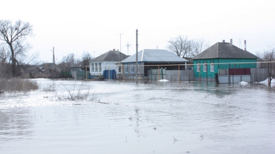 В Ольховатке вода из полей затопила 40 подворий
