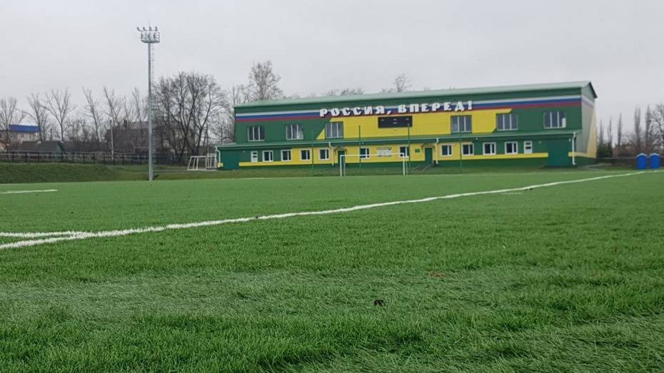 Оборудование для ухода за футбольным полем приобрели для Подгоренской ДЮСШ
