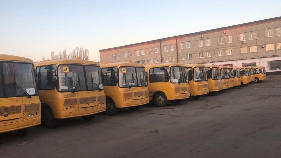 В ноябре в Воронежскую область передали 76 новых школьных автобусов