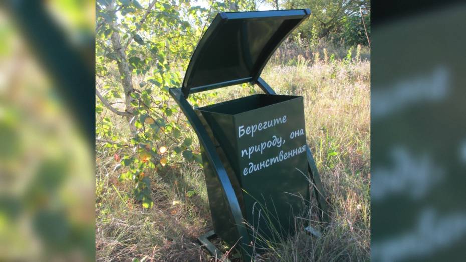 На остановках и в парках Воронежа появятся светящиеся мусорные урны