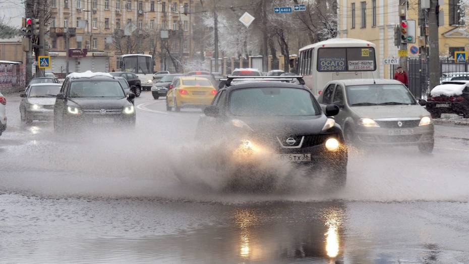 Синоптики: в Воронеже последняя неделя зимы будет теплой