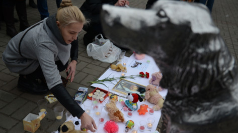 Воронежцы зажгли свечи в память об убитых хабаровскими живодерками животных