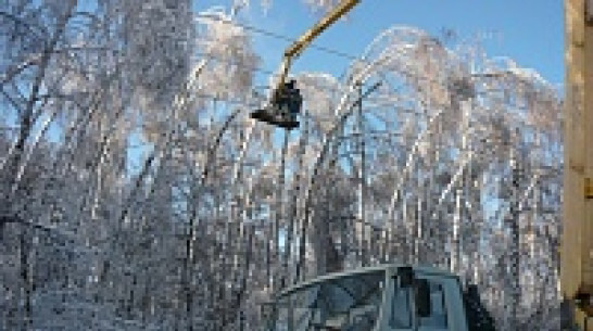 В воронежском парке «Оптимист» началась расчистка и расширение просеки высоковольтной ЛЭП