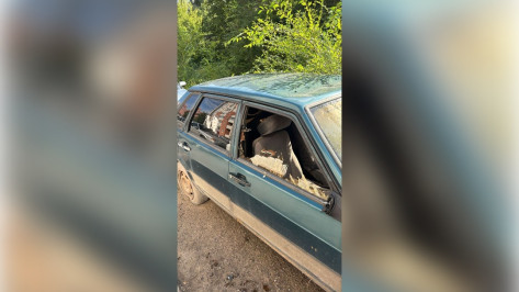 Атака БПЛА на Воронежскую область 17 августа: что известно на текущий момент