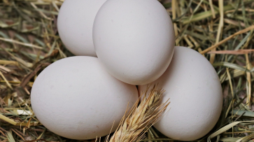 Один воронежец за год съедает около 293 яиц