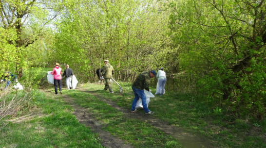 Хохольские волонтеры очистили от мусора около 1 км прибрежной зоны реки Девица