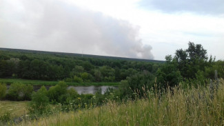 Жители региона сообщили о пожаре под Воронежем