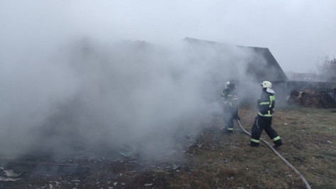 Тела двух мужчин нашли на месте пожара в Воронежской области