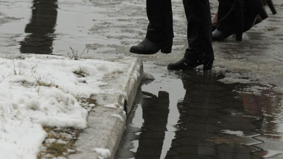 Управы районов Воронежа будут отчитываться об уборке улиц ежедневно